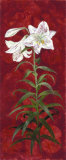 White Lily I