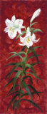White Lily II