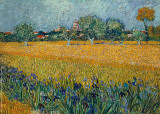 Field of Flowers near Arles