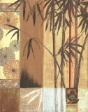 Bamboo