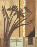 Iris and Dragonfly