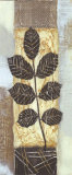 Patterns of Nature II