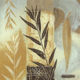 Patterns of Nature IV