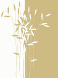Reeds II