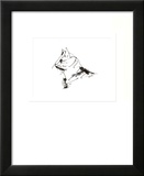 The Cat