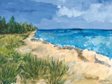 Meer I