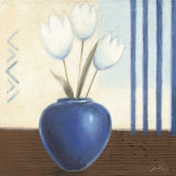 Fancy Tulips