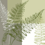 Abstract Fern