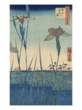 Irises at Horikiri