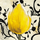 Yellow Tulip