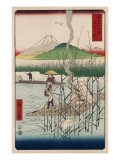 Sagami River  Shoshu