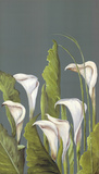Calas Blancas I