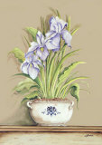 Flor Sopera II