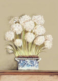 Flor Sopera I