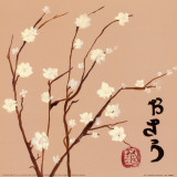 Almendro Oriental II