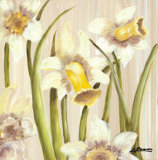 Florecilla II