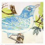 Bluebird