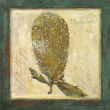 Hydroide