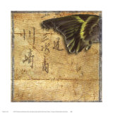Goldfinch Wing