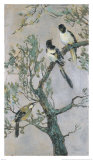 Magpies and Friends