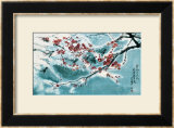 Plum Blossom in Snow