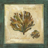 Hornwrack