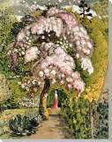 In a Shoreham Garden