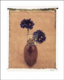 Cornflowers