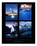 Chris Dobrowolski - Wonders of Creation
