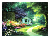 Tree Lined Path