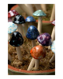 Mushroom Forest