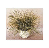 Bare Grass I