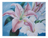 Single Lily