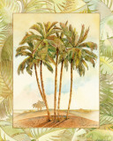 Palm Tree III