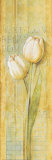 Quiet Flowers II