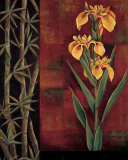 Yellow Iris