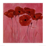 Red Poppies