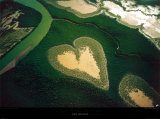 Coeur de Voh