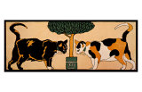 Two Cats