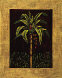 Tropical Paradise II