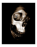Bone Head