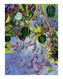 Green Oranges