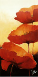 Three Red Poppies II