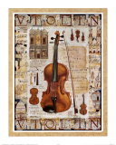 Violin