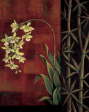 Green Orchid