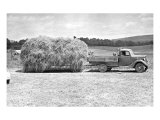 American Hay Farmer