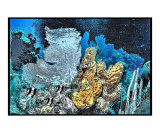 Blue seafan and yellow sponge