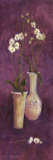 Elegant Orchids II