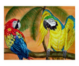 Tropical Paradise