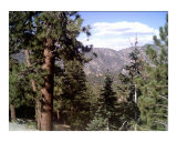 Angeles National Forest